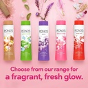 POND'S POWDER PINK LILY